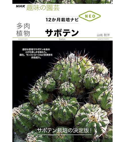Amazon.co.jp: 【種子】Copiapoa Cinerea ◇コピアポア・シネレア／黒